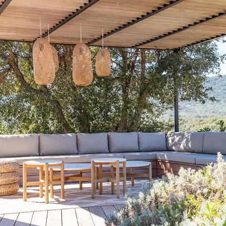 Alba Di Pinarello Pinarellu