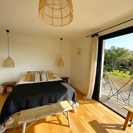 Alba Di Pinarello Pinarellu