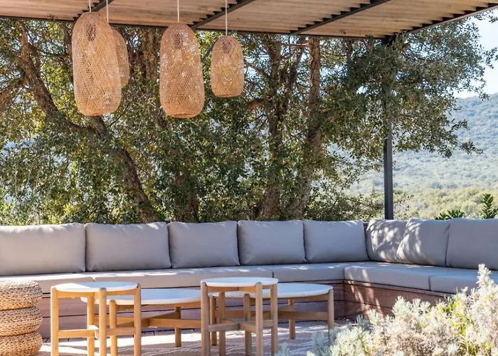 Alba Di Pinarello Pinarellu