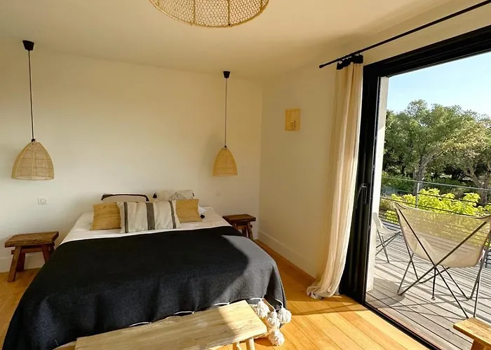 Alba Di Pinarello Pinarellu